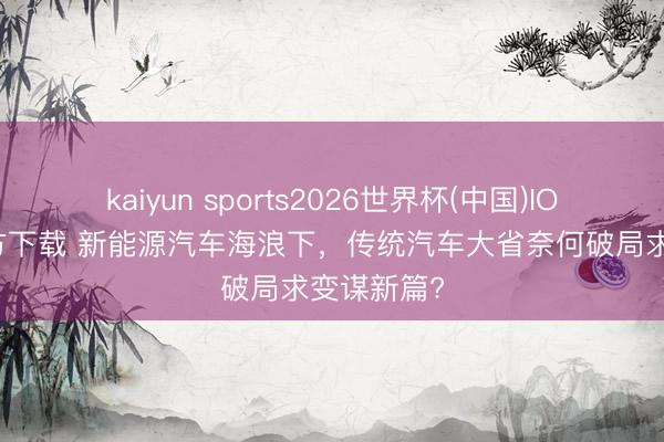 kaiyun sports2026世界杯(中国)IOS/安卓